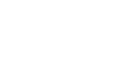 VSV Logo